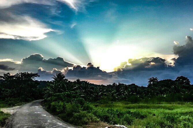 Hinterland Cycling Tour, Havelock - Key Points