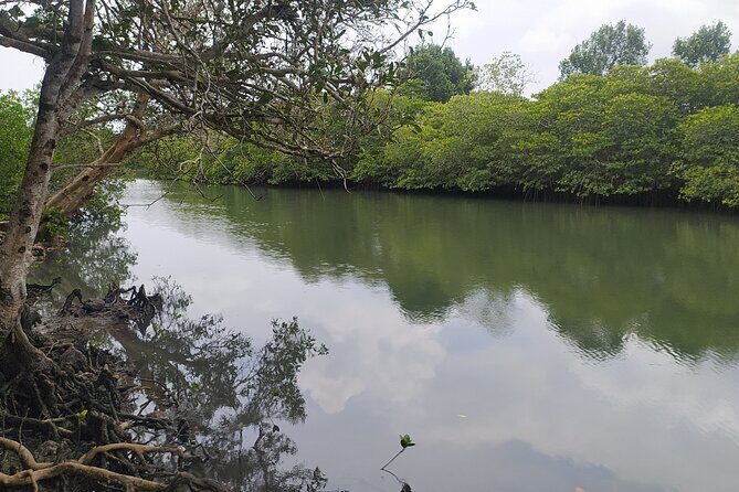Hinterland Cycling Tour, Havelock - Why You Should Consider This Tour