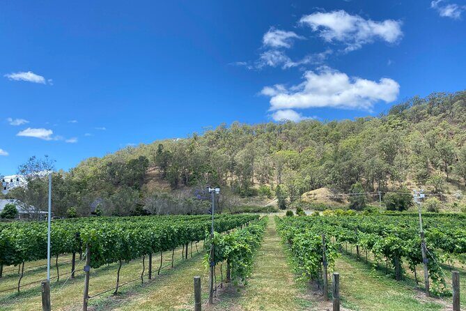 Hinterland Heritage Wine Tour - What Reviewers Say