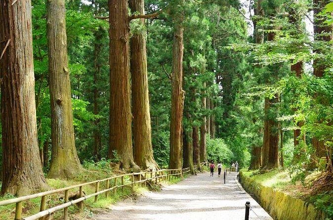 Hiraizumi Half-Day Private Trip with Government-Licensed Guide - Practical Details and What to Expect
