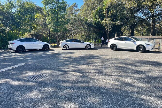 Hire Car and Limousine Service - Key Points