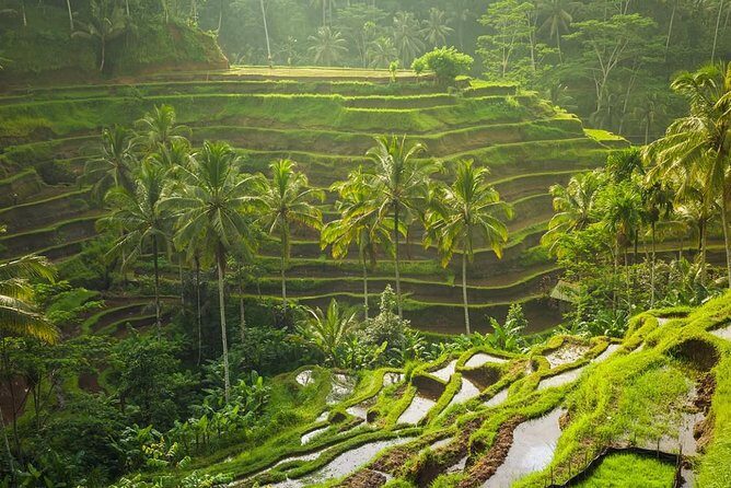Hire Private Bali Driver - Who Should Consider This Private Driver Tour?