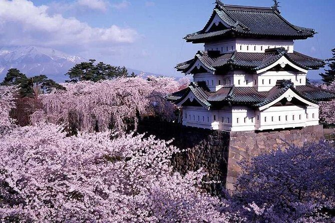 Hirosaki 6hr Private Tour with Government-Licensed Guide - Key Points