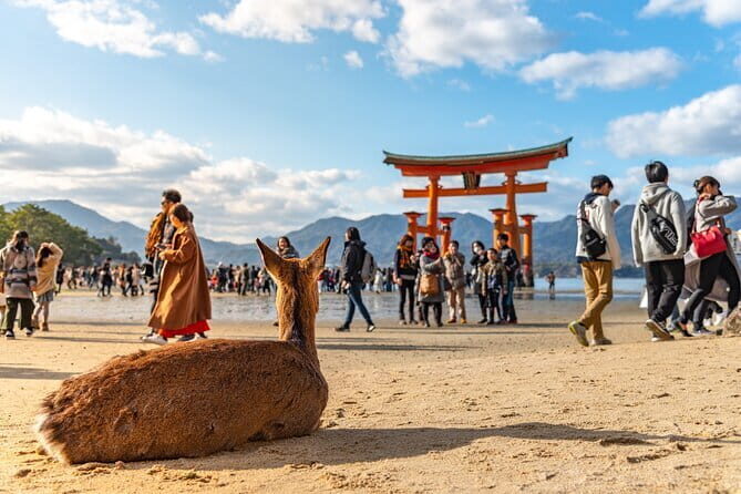 Hiroshima and Miyajima Day Trip with Itsukushima Shrine & Ferry - Key Points