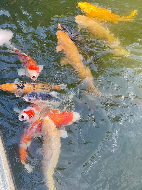 Hiroshima and Miyajima Satisfying Private Tour with a Local - Optional Additional Sites