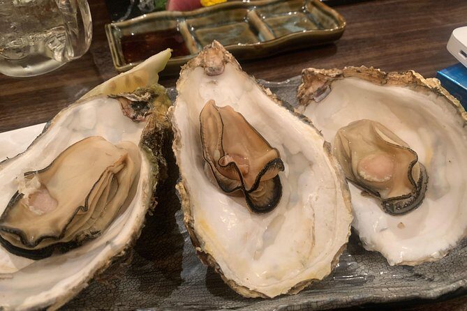 Hiroshima Bar Hopping Food Tour - Final Thoughts
