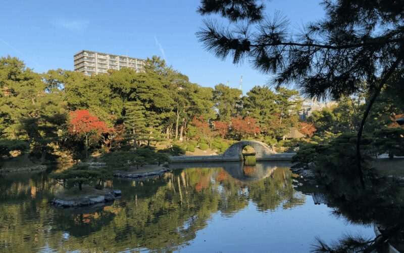 Hiroshima: Best of Hiroshima Guided Bike Tour - Authenticity and Real-World Feedback