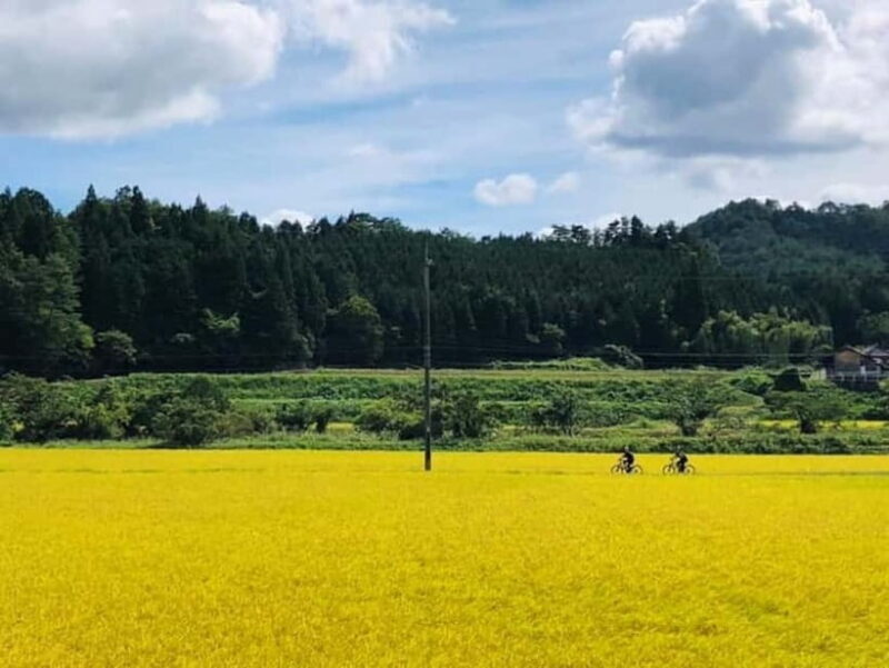 Hiroshima Country Cycling: Explore Rural Life 1 HR from City - Key Points