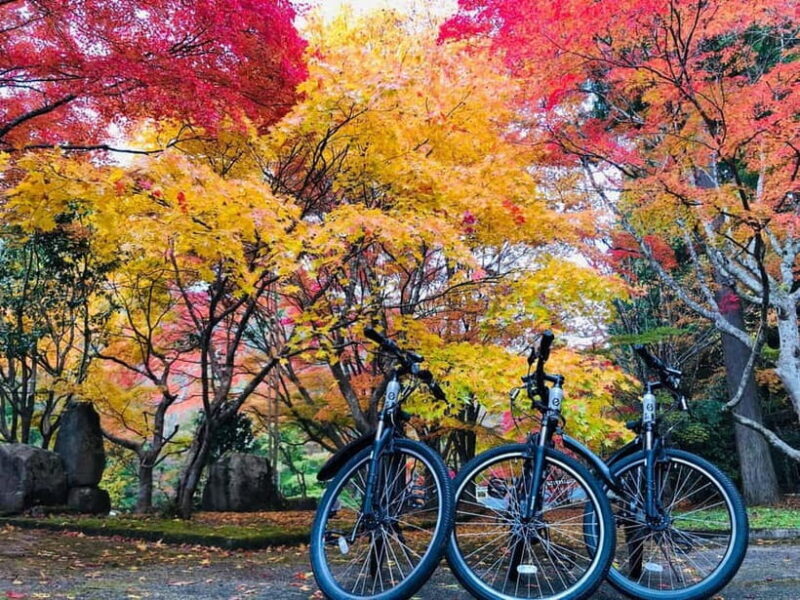 Hiroshima Country Cycling: Explore Rural Life 1 HR from City - Discovering Hiroshima’s Countryside on Two Wheels