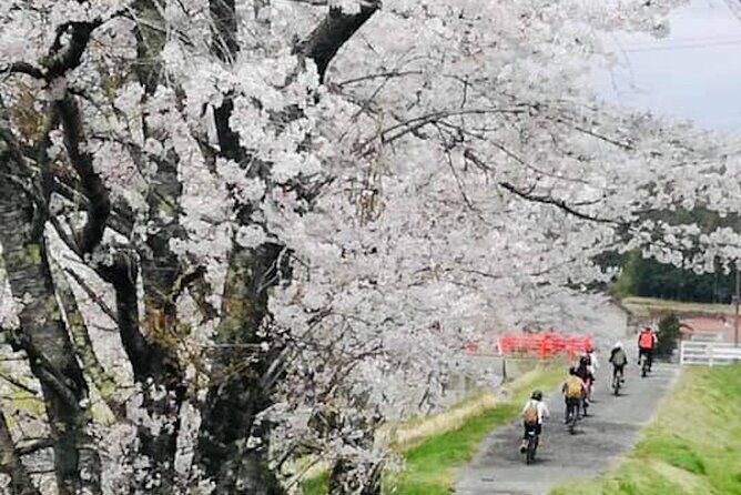 Hiroshima Country Cycling: Explore Rural Life 1 HR from City - FAQ