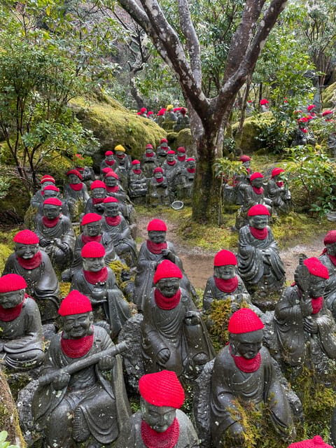 Hiroshima: Explore Miyajima Private Customized Tour w/Local - Authentic, Local Experiences That Matter