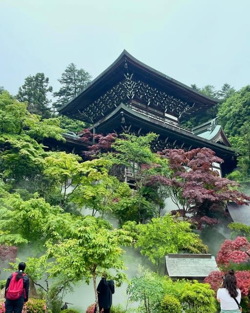 Hiroshima: Explore Miyajima Private Customized Tour w/Local - Final Thoughts
