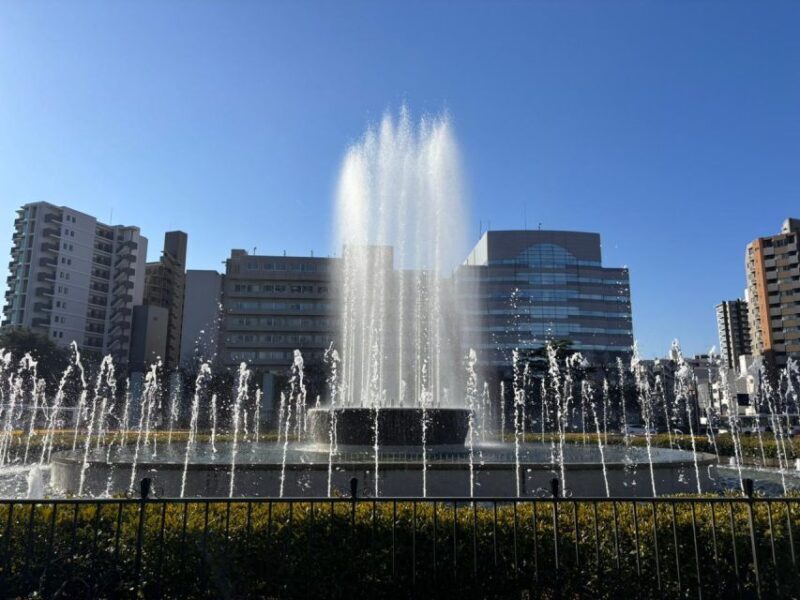 Hiroshima: History of Hiroshima Group Walking Tour - Key Points