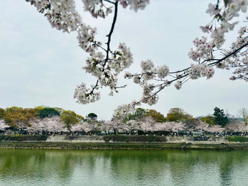 Hiroshima: History of Hiroshima Group Walking Tour - Who Will Enjoy This Tour?