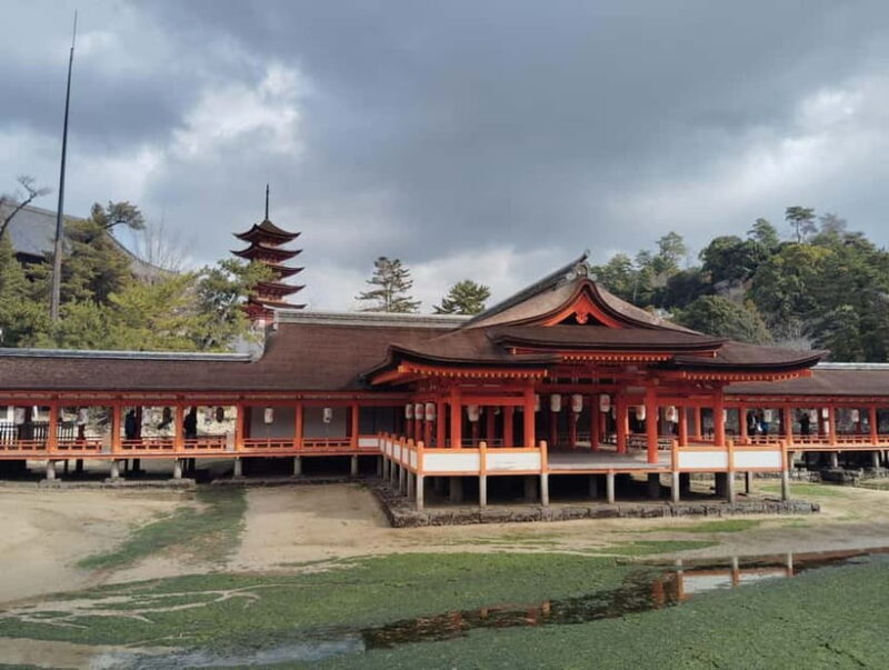 Hiroshima: Itsukushima Shrine and Miyajima Summit Tour - Authentic Insights from Travelers