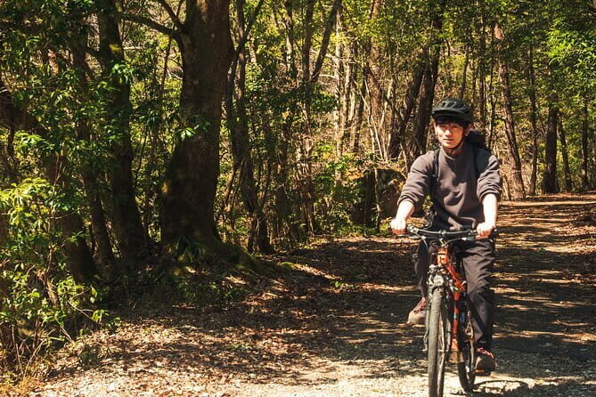 Hiroshima Like a Local: Customized Private Tour - The Value of Personalization