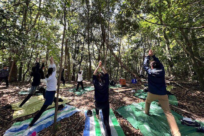 Hiroshima Local guided Hiking Tour&Open-air Tea Ceremony - A Deep Dive into the Experience