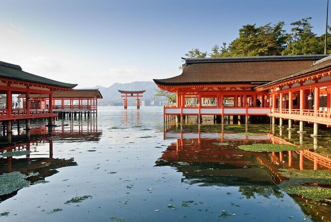 Hiroshima & Miyajima 1 Day Bus Tour with Shinkansen Train Tickets - Who is this tour ideal for?