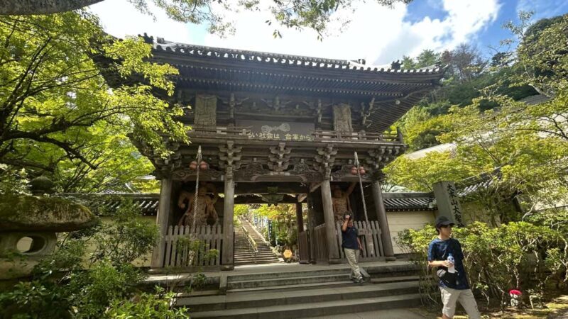 Hiroshima & Miyajima 6.5h Guided Tour Dome, Park & Shrine - Pricing and Overall Value