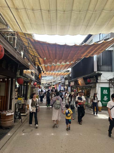 Hiroshima & Miyajima 6.5h Guided Tour Dome, Park & Shrine - Suitable Audiences