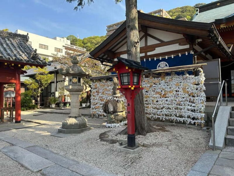 Hiroshima: Morning Hiking Tour with Open-air Tea Ceremony - Final Thoughts