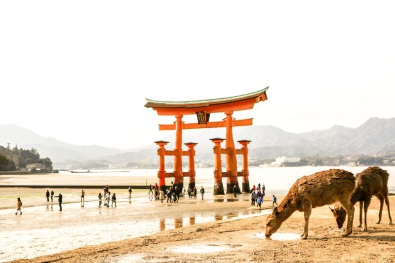 Hiroshima: Peace Memorial, Itsukushima and Miyajima Tour - FAQ