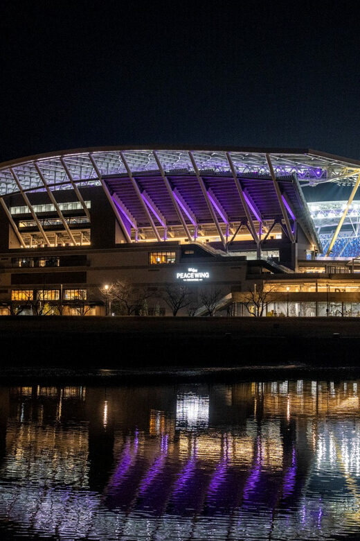 Hiroshima: Sanfrecce Hiroshima Football Game - Why You Should Consider the Sanfrecce Hiroshima Football Game