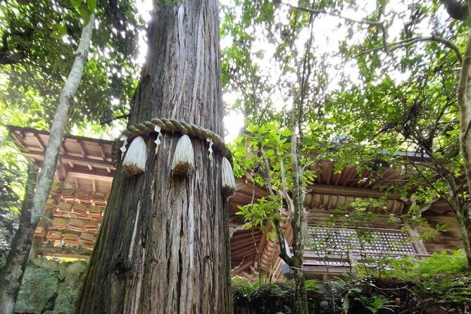 Hiroshima Scenic Cycling Guided Tour - What to Expect on the Hiroshima Scenic Cycling Guided Tour