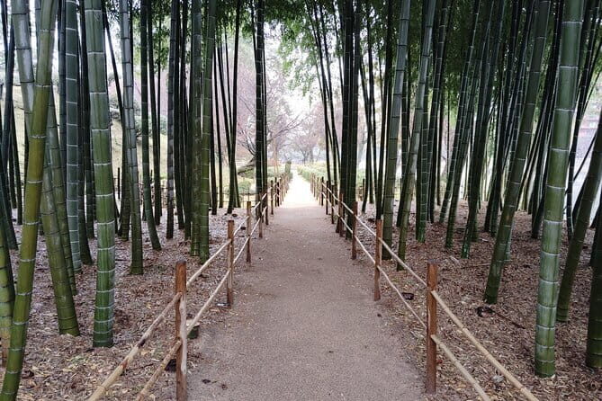 Hiroshima Shukkei-en Garden with local guide 90min - Authentic Feedback & What Travelers Say