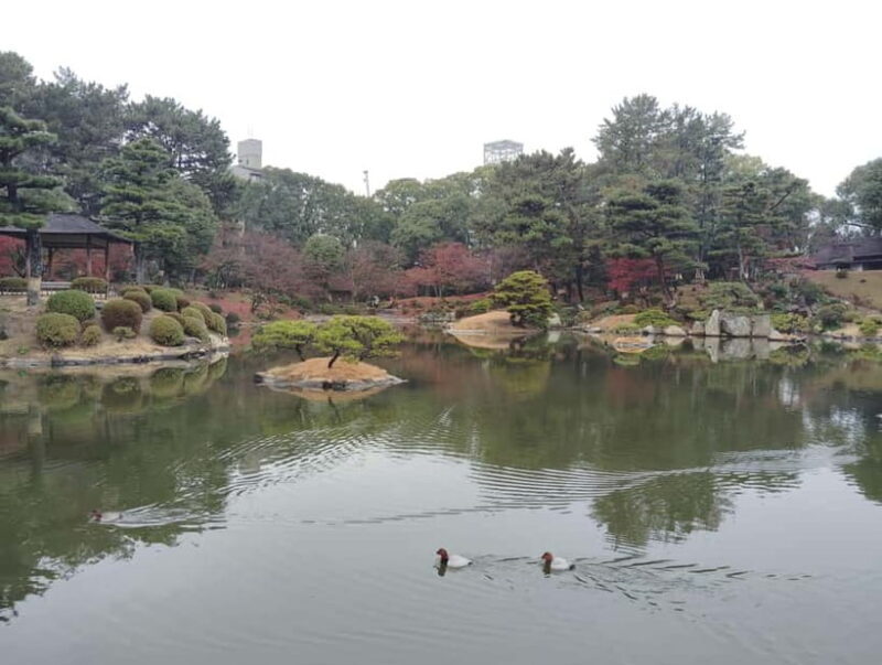 Hiroshima: Shukkei-en Garden with local guide 90min - Authenticity and Traveler Feedback