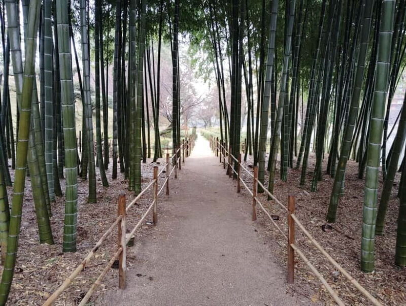Hiroshima: Shukkei-en Garden with local guide 90min - Practicalities: Booking, Access, and Tips