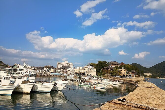 Hiroshima: Tomonoura Nostalgic Port Town Private Tour with Local - The Sum Up: Is It Worth It?