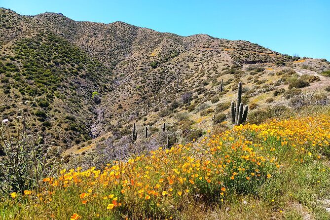 Historic 1880's Gold Mine Jeep Adventure near Scottsdale Phoenix - FAQ