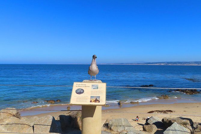 Historic Cannery Row: A Self-Guided Audio Tour of John Steinbeck's Monterey - FAQ