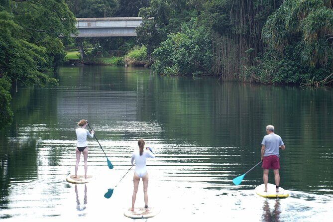 Historic Haleiwa Rainbow Bridge Stand Up Paddle (Anahulu River) - Discovering the Historic Haleiwa Rainbow Bridge Stand Up Paddle Tour