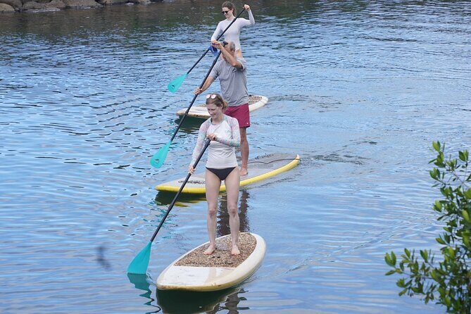 Historic Haleiwa Rainbow Bridge Stand Up Paddle (Anahulu River) - Why This Tour Is a Great Choice