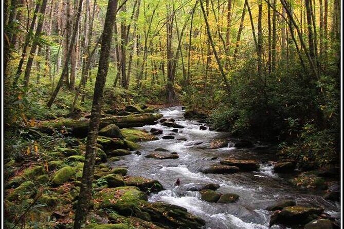 Historic River Town Ramble - An In-Depth Look at the Historic River Town Ramble