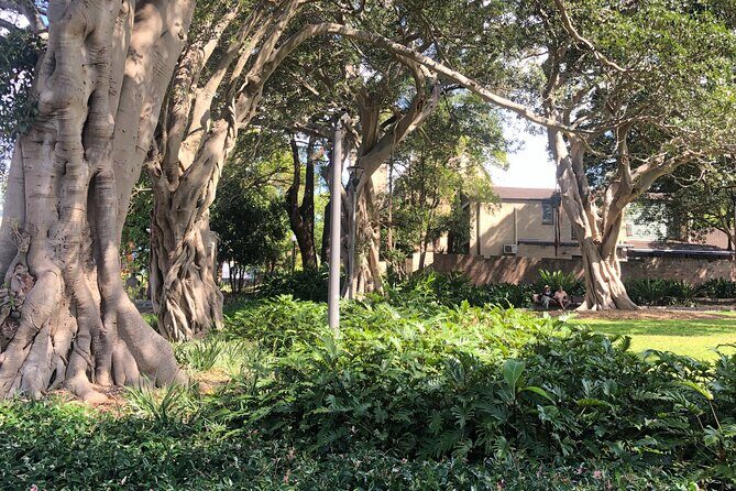 Historic Walking Tour of Glebe - FAQ