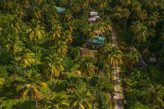 Historical 18th Century Estate Tour with Coconut Tasting - The Sum Up: Is It Worth It?