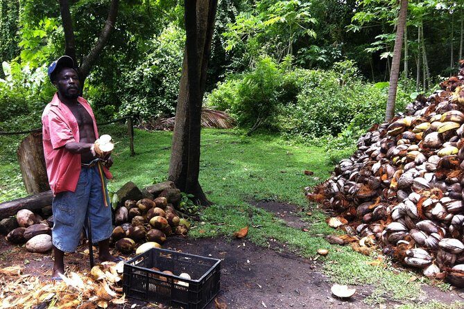 Historical 18th Century Estate Tour with Coconut Tasting - FAQs