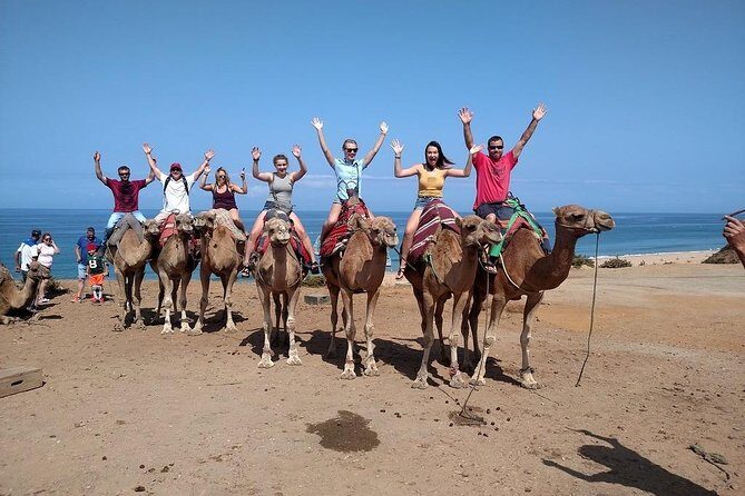 Historical and Cultural Tour of Tangier - The Practical Side: Logistics, Cost, and Comfort