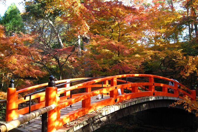 Historical Kyoto E-Bike Tour - Final Thoughts