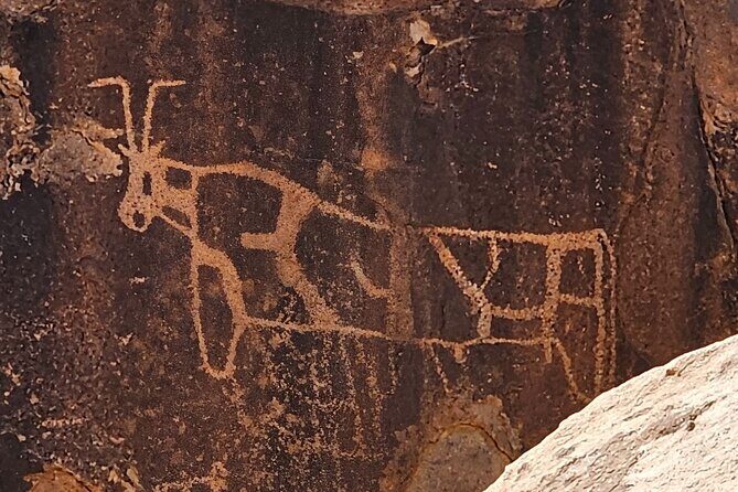 Historical Landmark in Tabuk Region Full Day Tour - Key Points