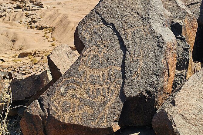 Historical Landmark in Tabuk Region Full Day Tour - Practical Tips for Travelers