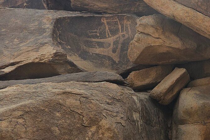 Historical Landmark in Tabuk Region Full Day Tour - Final Thoughts: Is This Tour for You?