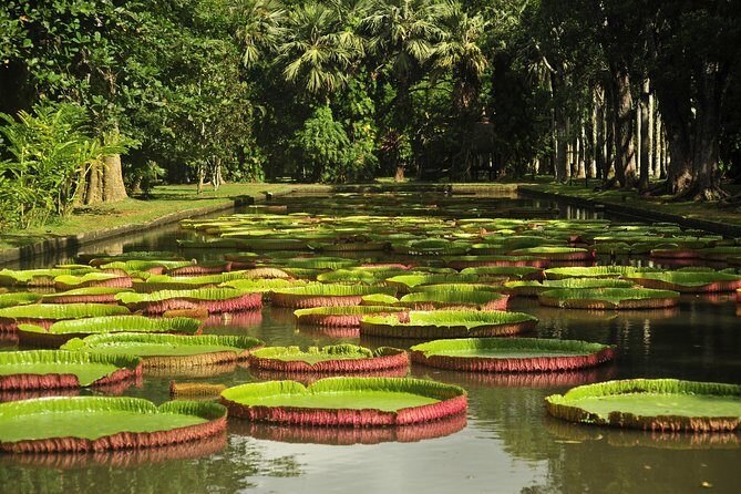 Historical Private Guided Tour, City-SugarWorld-Botanical Garden - Min.2 persons - Introduction