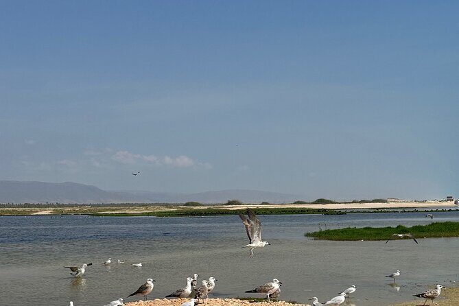 Historical Salalah City Tour - FAQ