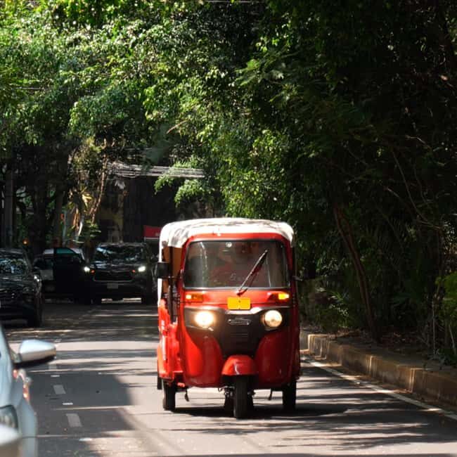 Historical Tour in Tuktuk Roma Condesa - An In-Depth Look at the Tuk Tuk Tour Experience
