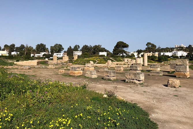Historical Tour of Ancient Carthage - What Makes This Tour Stand Out