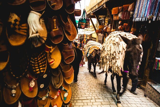 History and culture with Fes Medina private tour guide - Why This Tour Provides Great Value